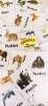Animal Flashcards, kids educational tools, kids flashcards. 