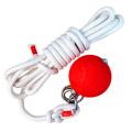 Meteor Hammer Solid Rubber Martial Arts Weapon Square Dance Middle-Aged and Elderly Fitness Double Ball Nine-Section Whip Practice Baijia Rope Whip. 