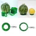 10Pcs Fruit Display Nonskid Base Anti Rolling Displaying Display Rack Circle Frame Mat Watermelon Protection Stand for Supermarket Shop , small. 