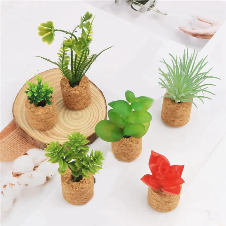 6%20Pcs%20Cactus%20Refrigerator%20Magnets%20Mini%20Cute%20Succulent%20Plant%20Fridge%20Magnet%20Decoration%20Accessories%20for%20Home%20Kitchen%20Office%20-%20Image%205