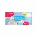 WET WIPES FOR HAND & MOUTH. 