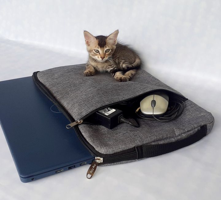 Laptop%20Protective%20Bag%20/%20Laptop%20Case%20/Sleeve%20Cover%20/%20Laptop%20Case%20Bag%20/%20Protective%20Cover%20Case%20/%20Laptop%20Sleeve%20/%20Hand%20Carry%20Case%20-%20Image%207