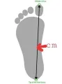 Freedom Feet Flat slipper - Brown New Ladies Sandals Women lieders Gladiator Flat Shoes. 