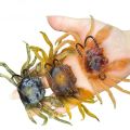 2PCS Durable Silicone Simulation Rubber Crab Soft With Double Hook Sea Fishing Bait Brown Green Orange Fishing Lures Fishing. 