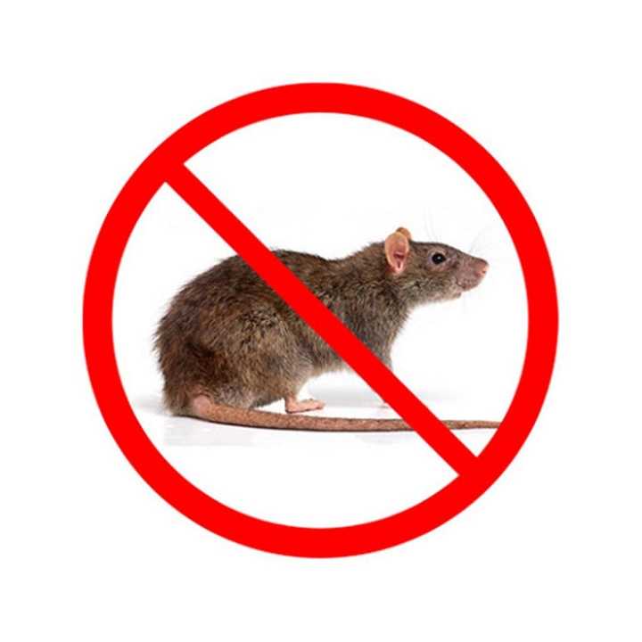 RAT%20KILLER%20Advance%20Granules%20Rodent%20Control%20Amazing%20Quick%20Effect%20Fast%20Acting%20in%201%20Feed%20Mostly%20Die.%20-%20Image%202