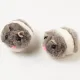 1 PCs Realistic Lifelike Plush Mouse Running Rat Toy for Interactive Play with Cats and Dogs. 