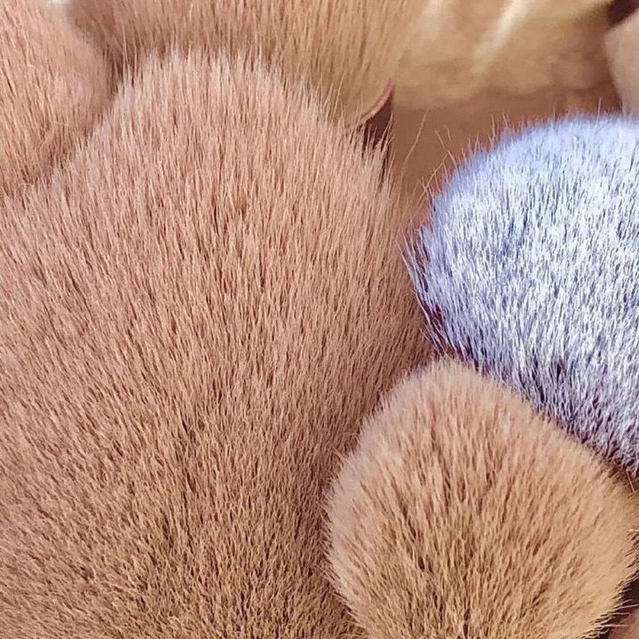 13%20PCS%20Makeup%20Brushes%20Set%20Eye%20Shadow%20Foundation%20Women%20Cosmetic%20Brush%20Eyeshadow%20Blush%20Beauty%20Soft%20Make%20Up%20Tools%20Bag%20-%20Image%206