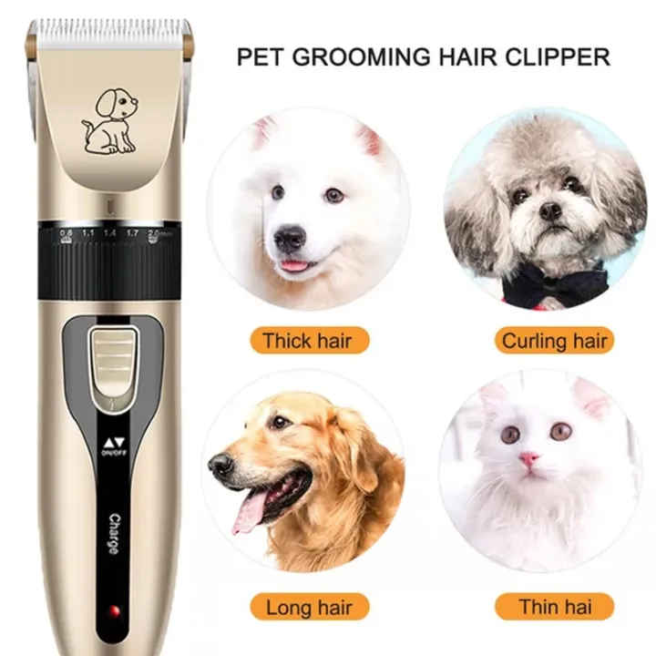 transparent%20bag%20Professional%20Cat%20Dog%20Hair%20Clipper%20Grooming%20Kit%20Rechargeable%20Pet%20Hair%20Trimmer%20Shaver%20Set%20Animals%20Hair%20Cutting%20Machine%20Low-Noise%20-%20Image%202