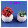 Cactus MINI POTS Cacti Planters Cactus Plant Pot Flower Pot Indoor Flower Planter Small Flower Pots. 