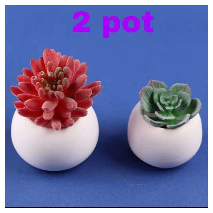 Cactus MINI POTS Cacti Planters Cactus Plant Pot Flower Pot Indoor Flower Planter Small Flower Pots