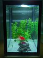 Large glass fish tank (8L Aquarium tank). 