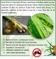 Citronella Oil, Pangiri Thel 28ml use as an antiseptic, bactericidal, deodorant and an insect repellent specially for mosquito, පැඟිරි තෙල්. 