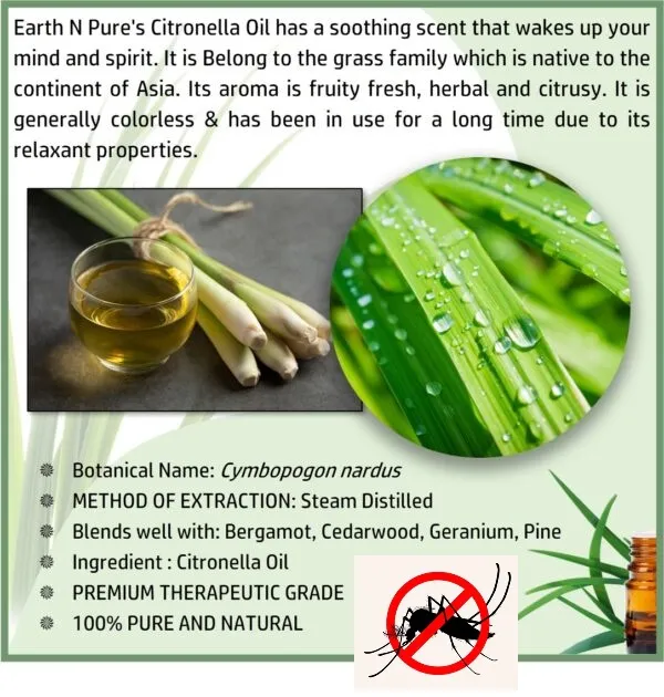 Citronella%20Oil,%20Pangiri%20Thel%2028ml%20use%20as%20an%20antiseptic,%20bactericidal,%20deodorant%20and%20an%20insect%20repellent%20specially%20for%20mosquito,%20%E0%B6%B4%E0%B7%90%E0%B6%9F%E0%B7%92%E0%B6%BB%E0%B7%92%20%E0%B6%AD%E0%B7%99%E0%B6%BD%E0%B7%8A%20-%20Image%203
