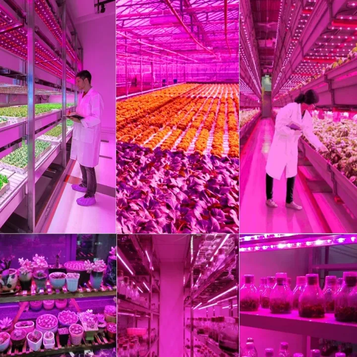 Indoor%20Plants%20Grow%20Lamp%20USB%20Led%20Full%20Spectrum%20Strip%20Light%20%20Waterproof%20Growth%20Led%20Lamp%20for%20Hydroponics%20Plants%20Seeds%20Flower%20-%20Image%206