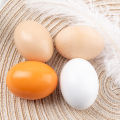 Wooden Egg Toy Easter S Color Painting Drawing Eggs Diy Graffiti Kids Pretend Play Toys. 