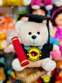 Graduation Teddy Bear | Graduation Gift Degree Bear | University Convocation Gift | Diploma Gift (24cm). 