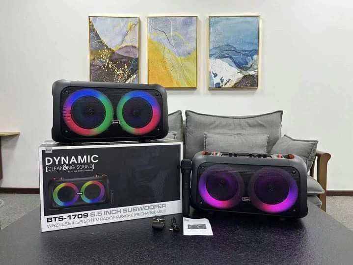 BTS%20-%201709%20DYNAMIC%20Clean%20&%20Big%20Sound%20Party%20Box%20%20Outdoor%20With%20Wireless%20Mic%20-%20Image%205