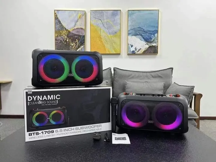 Party%20box%20outdoor%20portable%20with%20wireless%20mic%20Dual%206.5inch%20portable%20Wireless%20bluetooth%20speaker%20BTS%201709%20-%20Image%204