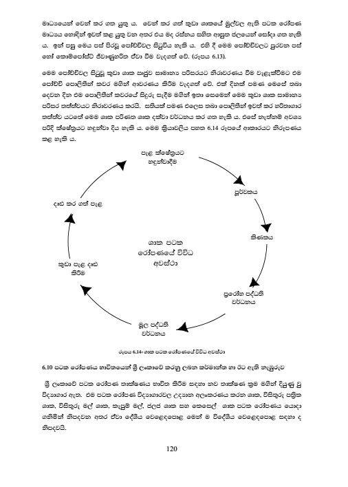 Science%20for%20Technology%20Reference%20Book%20-%20SFT%20-%20Grade%2012%20(%E0%B6%AD%E0%B7%8F%E0%B6%9A%E0%B7%8A%E0%B7%82%E0%B6%AB%E0%B7%80%E0%B7%9A%E0%B6%AF%E0%B6%BA%20%E0%B7%83%E0%B6%AF%E0%B7%84%E0%B7%8F%20%E0%B7%80%E0%B7%92%E0%B6%AF%E0%B7%8A%E2%80%8D%E0%B6%BA%E0%B7%8F%E0%B7%80%20%E0%B6%B4%E0%B6%BB%E0%B7%92%E0%B7%81%E0%B7%93%E0%B6%BD%E0%B6%B1%20%E0%B6%9C%E0%B7%8A%E2%80%8D%E0%B6%BB%E0%B6%B1%E0%B7%8A%E0%B6%AE%E0%B6%BA)%20-%20Image%204