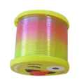 Magic Rainbow Spring Toy Colorful Toys for Kids. 