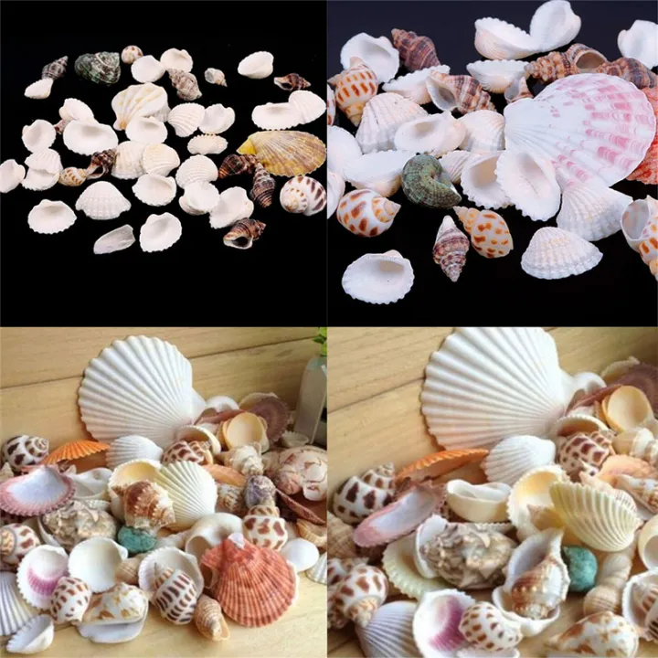 100g%20Beach%20Mixed%20SeaShells%20Mix%20Sea%20Shells%20Shell%20Craft%20SeaShells%20Aquarium%20Decor%20-%20Image%208