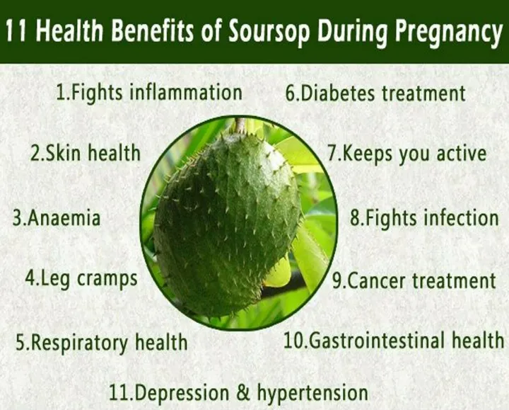 Soursop%20Fruit%20Powder%20(Graviola%20Fruit%20Powder)%20%20-%20100g%20-%20Image%204