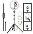 10 Inches Big LED Ring Light for Camera, Phone tiktok YouTube Video Shooting and Makeup, 10" inch Ring Light with 7 Feet Long Foldable and Lightweight Tripod Stand. 