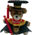 Personalized Graduation Teddy Bear. 