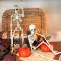 40cm Anatomy Movable Simulation Human Skeleton Halloween Skull Bones Bride and Groom Haunted House Horror Props Home Decoration. 