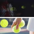 1 Pcs Tennis Balls High Bounce Practice Training Outdoor Elasticity Durable Tennis for Dogs Bite Chase and Chomp 6.3CM Dog Ball. 