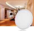 18w Two Color LED Blue Panel Light for Sunk Ceiling ROUND (3 steps) (18+6) W. 
