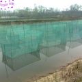 ShopSphere Grid 3mm Green Family Breeding Net Fish Cages Materials Plastic Nets Cloth Aquaculture Fishing Net Anti-Bird Net Insect Proof 1m. 