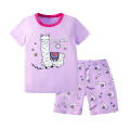 Cotton Toddler Girl Outfits Pajamas Set 3 5 7 9 10 11 12 13 Years Korean Short Sleeve Summer Cotton Pjs Pink Leopard Kids Pijama. 