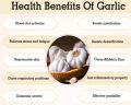 Garlic Powder 100g. 