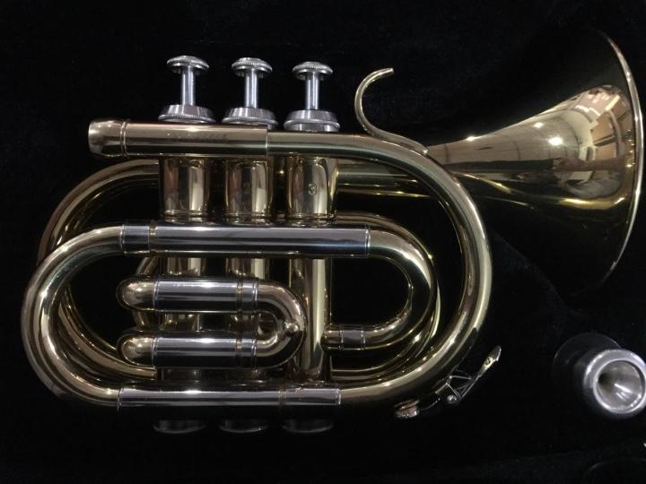 Stagg Levante Pocket Trumpet