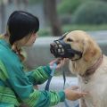Dog Muzzle for Long Snout Dogs Breathable Basket Muzzle for Puppys Dogs Dog Outing Pet Masks Mouth Guard Cage Muzzle Silica Gel Safety Masks to Prevent Biting, Chewing, Barking. 