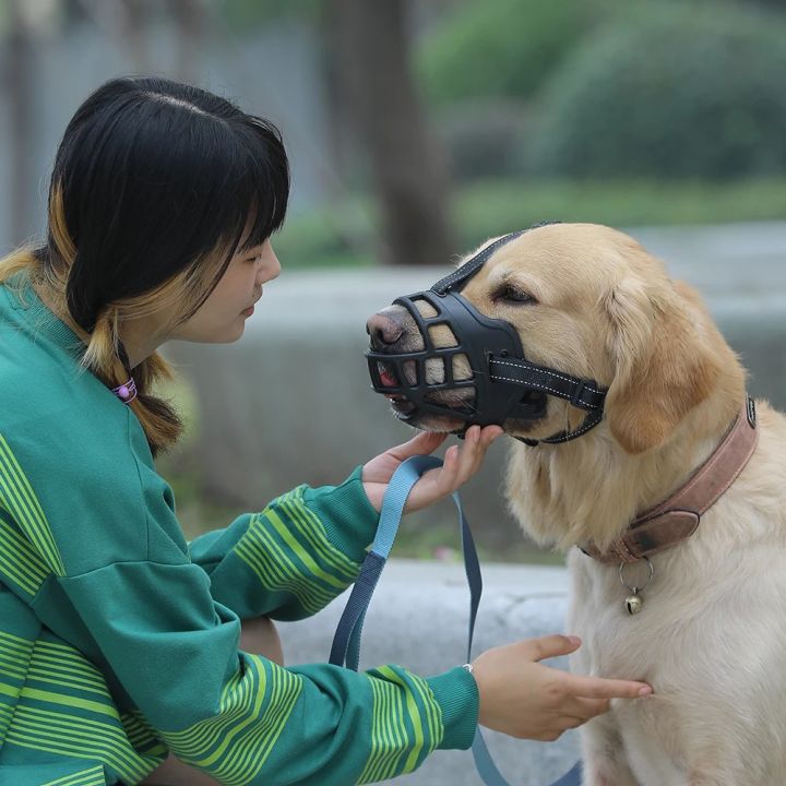Dog%20Muzzle%20for%20Long%20Snout%20Dogs%20Breathable%20Basket%20Muzzle%20for%20Puppys%20Dogs%20Dog%20Outing%20Pet%20Masks%20Mouth%20Guard%20Cage%20Muzzle%20Silica%20Gel%20Safety%20Masks%20to%20Prevent%20Biting,%20Chewing,%20Barking%20-%20Image%205