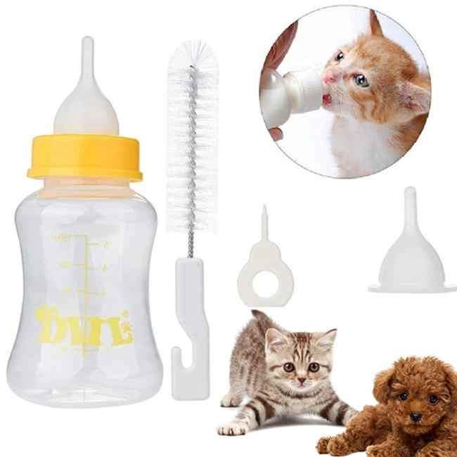 cat nipple toy Flesh Light Masturbator | Flesh Light Vagina main image 1