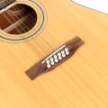Deviser 12 String Semi Acoustic Guitars. 