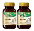 Zandu Shilajit Capsule, 60 capsules x Po2, Original and Pure Himalayan Shilajeet, Boosts Immunity, Strength and Stamina. (FROM INDIA) SAB. 