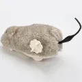 EzyMart - 1 PCs Lifelike Plush Mouse Running Rat Toy for Cat and Dogs. 