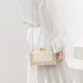 Acrylic Evening Clutch Bags Lady Party Wedding Evening Bags Purse Handbags Chain Shoulder bag For Women 2020. 