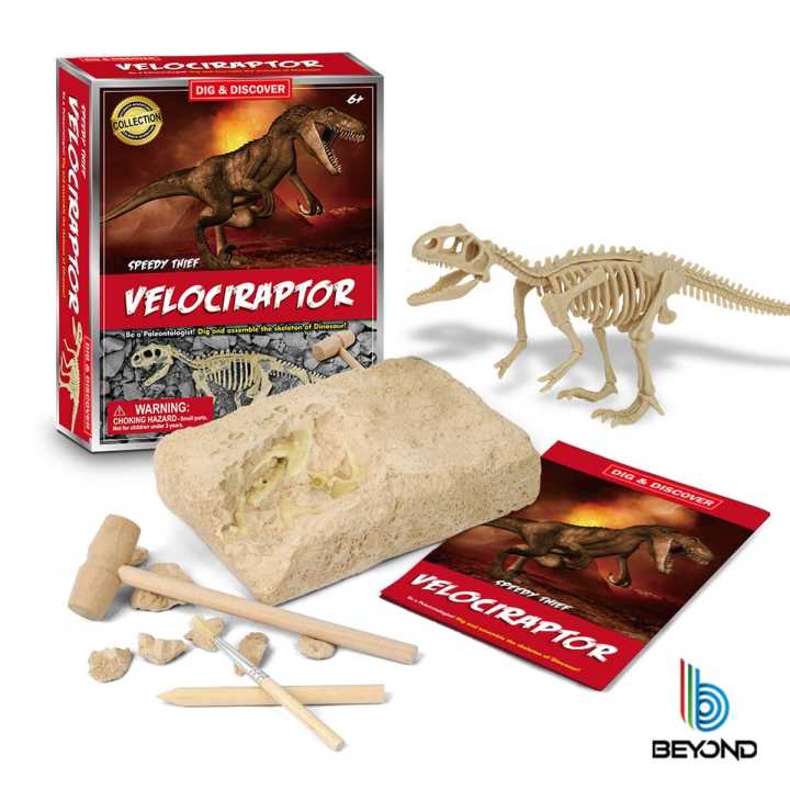 Dinosaur fossil toys online