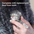 Beaphar Lactol Kitten Milk Replacer (for Newborn & Weaning Kittens ) 250gms. 