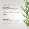 Mielle Rosemary Original Hair Growth Essential Oil Mint Scalp Hair Strengthening Oil for All Hair Types Nourishing Treatment. 