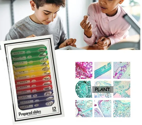 Pocket%20Microscope%20with%20LED%20Light,Stem%20Kids%20Portable%20Microscope%2060x-120x,%20Handheld%20Mini%20Microscope%20FMC%20Lens%20System%20Slide%20Base%20Smartphone%20Digi%20scoping%20Clip%20for%20Education%20Exploring%20Gift%20-%20Image%205