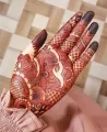 Natural Mehendi Cone | Natural Henna Cone | Organic Henna Cone - Normal Guest Cone. 