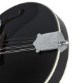 SUZUKI Spruce Wood 8-string A Style Acoustic Mandolin - Black. 