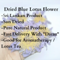 Dried Blue Lotus Flower / වියලි නිල් මානෙල් මල් / Blue Lotus Flowers / Sun Dried Flowers / Dried Flowers / Natural Flowers / Natural Dried Flowers / Natural Flowers. 