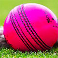 Pink Leather Cricket Ball 5 1/2 Oz. 